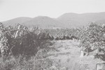 Lago Maggiore 1983 - Hambacher Schloss