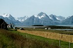Heuernte am Nordmeer