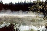 Rckfahrt durch Nordfinnland