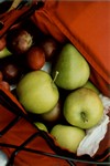 Sdschweden, Obst in Radtasche
