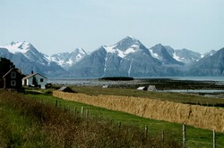 Heuernte am Nordmeer