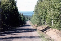 Nebenstrasse in Mittelschweden