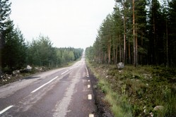 Wildwechsel