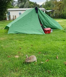 Camping Vieux Moulin, zahmes Karnickel