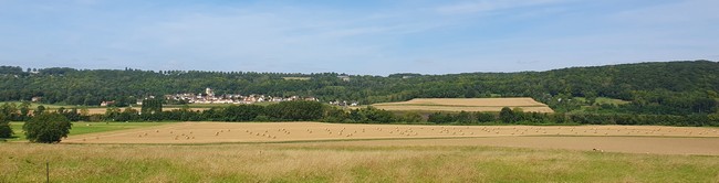 Kornfeld bei Luzancy