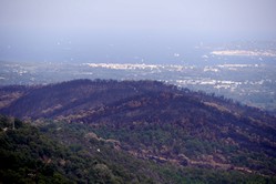 Cte d'Azur - Radtour nach Saint Tropez, Waldbrandschden bei la Mole