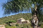 Bormes les Mimosas