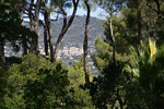 La Favire, Camp du Domaine