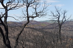 Radtour nach Cabasson