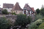 Kaysersberg, Coucou de la fort noire