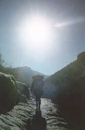 Gorges du Tarn, Wanderung im Schnee