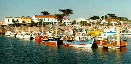 Ile d'Olron, la Cotinire