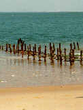 Ile d'Olron, Muschelzucht