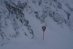 Les 3 Valles 2008 - Chamois am Col de Rosal
