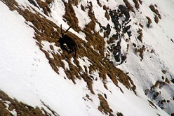 Lac de Tignes - Grand Motte