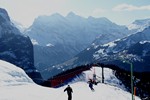 Lauberhorn Hundschopf