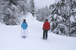 Mnnlichen, Abfahrt durch den verschneiten Wald