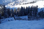 Skiroute Tannegg