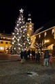 Zentrum bei Nacht mit Kirche und Baum