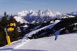 Saalbach-Hinterglemm, Vierstadlalm