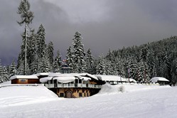 Flachau, Franzlalm Flachau, Franzlalm