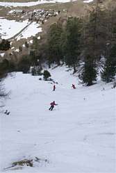 Zermatt - Momatt