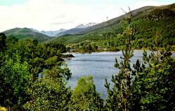 Glen Affric