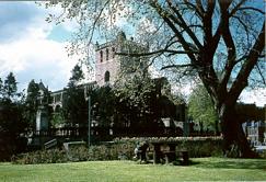 Ruinen der Kathedrale von Jedburgh