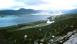 An der schottischen Nordkste